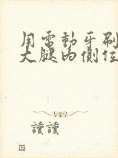 用电动牙刷放在大腿内侧位置作文