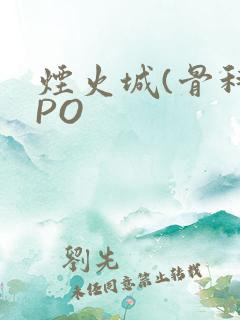 烟火城(骨科)PO