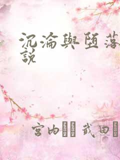 沉沦与堕落的小说