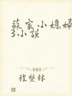 苏家小媳妇1V3小说