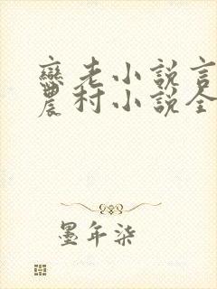 恋老小说言情网农村小说全文阅读