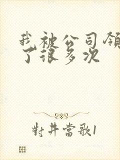 我被公司领导C了很多次