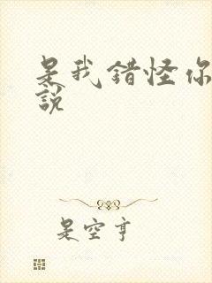 是我错怪你了小说