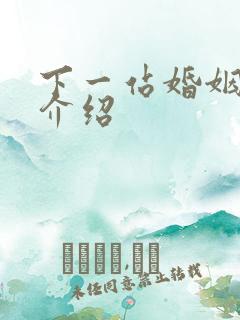 下一站婚姻剧情介绍