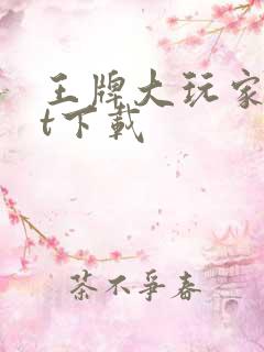 王牌大玩家txt下载