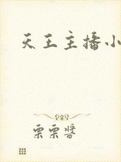 天王主播小说