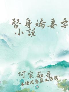 替身娇妻要离婚 小说