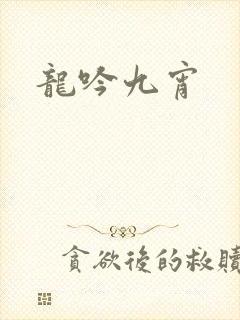 龙吟九宵