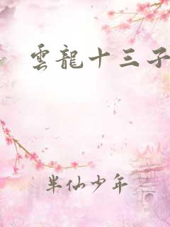 云龙十三子