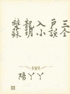 双龙入户三人行苏玥小说全文阅读