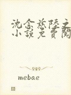 沈念慈陆之天的小说免费阅读