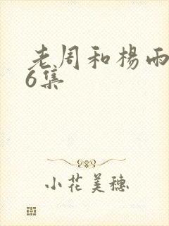 老周和杨雨欣26集