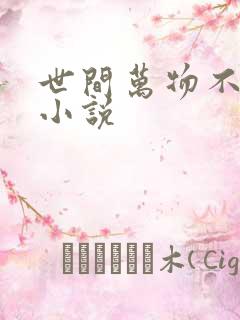 世间万物不及你小说