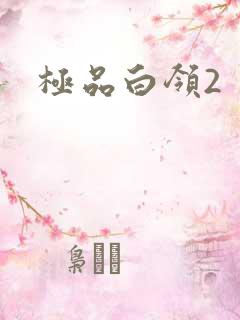 极品白领2