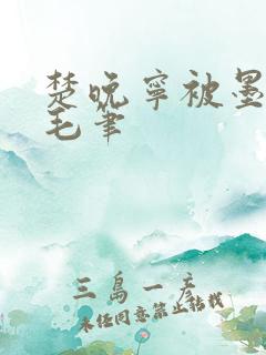 楚晚宁被墨燃塞毛笔