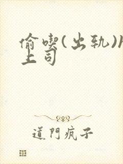 偷吃(出轨)h上司