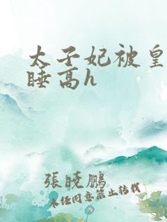 太子妃被皇上强睡高h