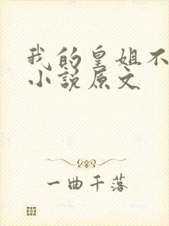 我的皇姐不好惹小说原文