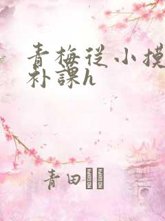 青梅从小摸到大补课h