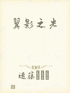 翼影之光
