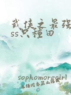 武侠之最强boss只种田