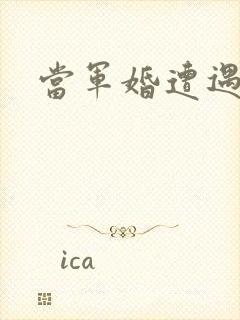 当军婚遭遇爱情