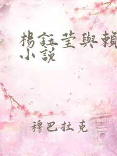 杨钰莹与赖昌星小说