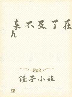 来不及了在车ch