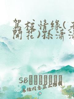 驾校情缘(老树开花)孙潇潇笔趣阁