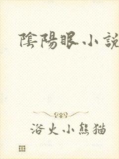 阴阳眼小说
