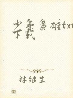少年枭雄txt下载