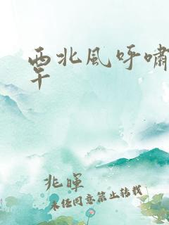 西北风呼啸的中午