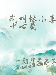 我叫林小喜今年十七岁