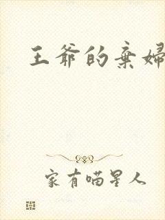 王爷的弃妇