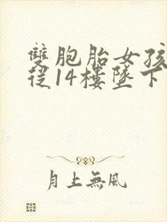 双胞胎女孩双双从14楼坠下