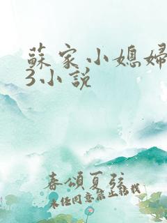 苏家小媳妇1V3小说