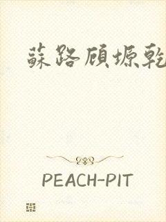 苏路顾塬乾小说