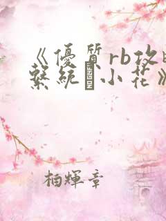 《优质rb攻略系统寀小花》