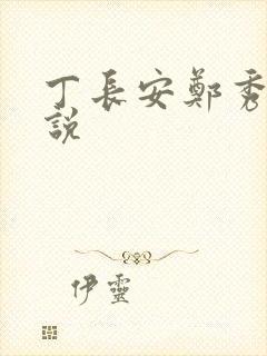 丁长安郑秀兰小说