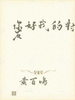 你好我的对面男友