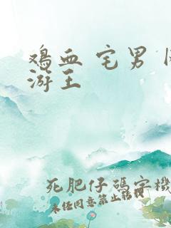 鸡血 宅男 网游王