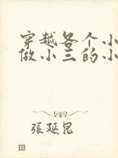 穿越各个小世界做小三的小说