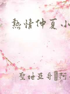热情仲夏小说