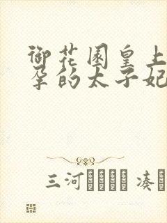 御花园皇上c有孕的太子妃