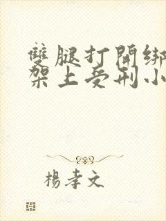 双腿打开绑在刑架上受刑小说