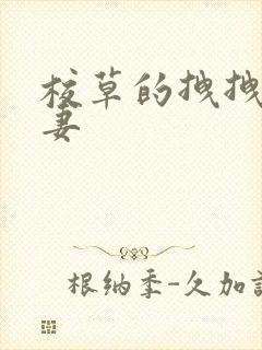 校草的拽拽未婚妻