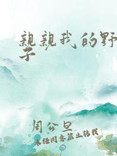 亲亲我的野猪王子