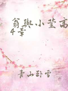 翁与小莹高潮24章