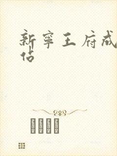 新宁王府成人网站