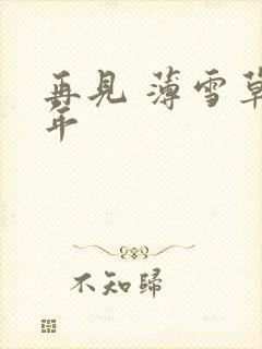 再见 薄雪草少年